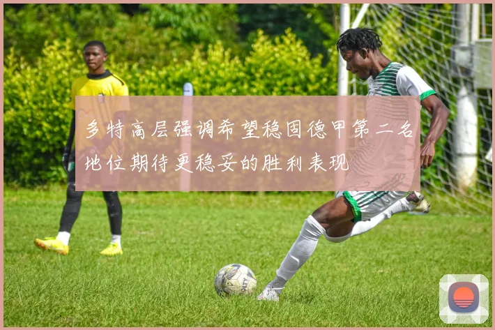 多特高层强调希望稳固德甲第二名地位期待更稳妥的胜利表现