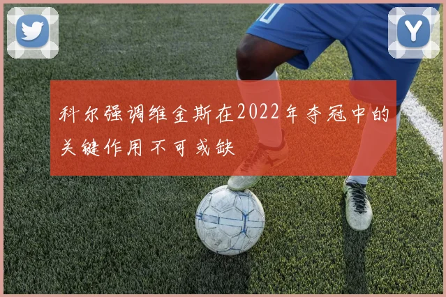科尔强调维金斯在2022年夺冠中的关键作用不可或缺